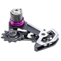 XX Downhill T-Type AXS Rear Derailleur Cage Assembly Kit
